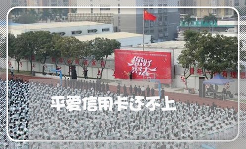 平爱信用卡还不上 平爱信用卡还不上
