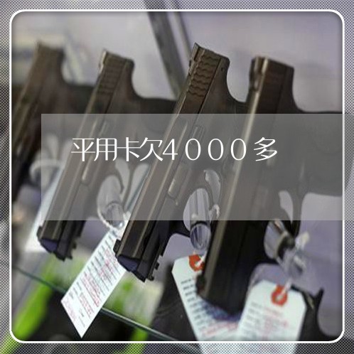 平用卡欠4000多