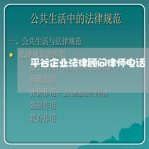 平谷企业法律顾问律师电话/2023061835846 平谷企业法律顾问律师电话/2023061835846