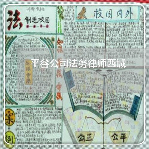 平谷公司法务律师西城