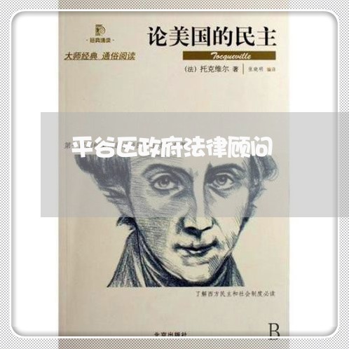 平谷区政府法律顾问/2023061971515
