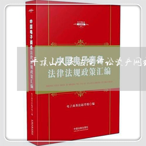 平顶山人民法院诉讼资产网站 平顶山人民法院诉讼资产网站