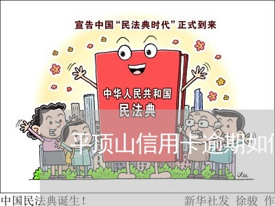 平顶山信用卡逾期如何处理 平顶山信用卡逾期如何处理