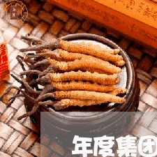 年度集团公司诉讼案件工作总结