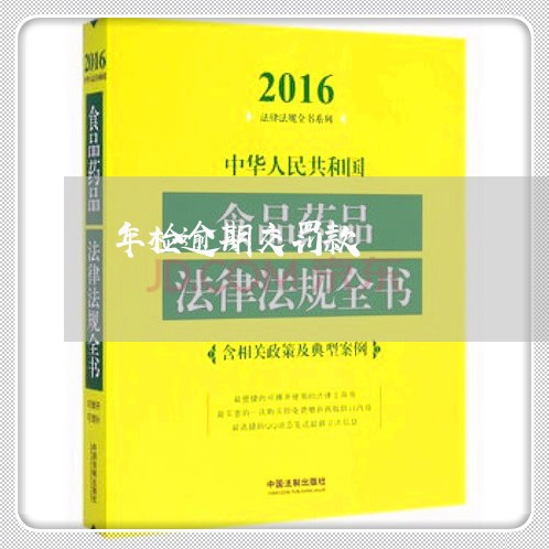 年检逾期交罚款