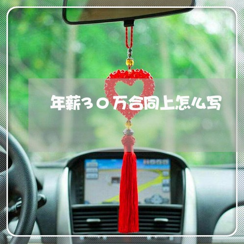 年薪30万合同上怎么写/2023041073508