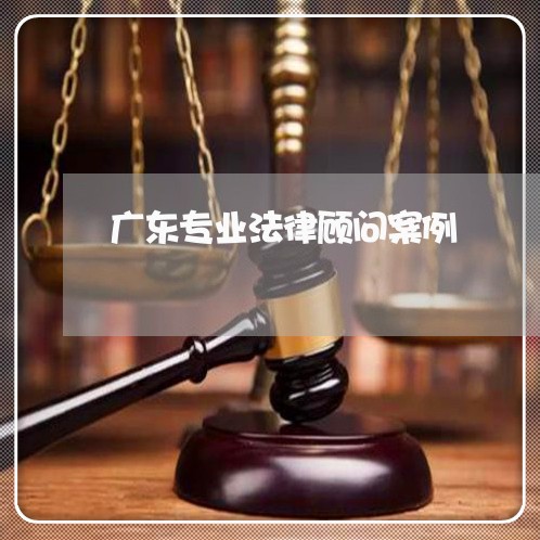 广东专业法律顾问案例/2023061897303