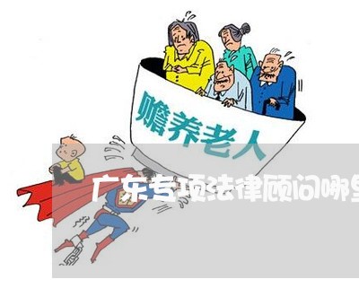 广东专项法律顾问哪里好 广东专项法律顾问哪里好