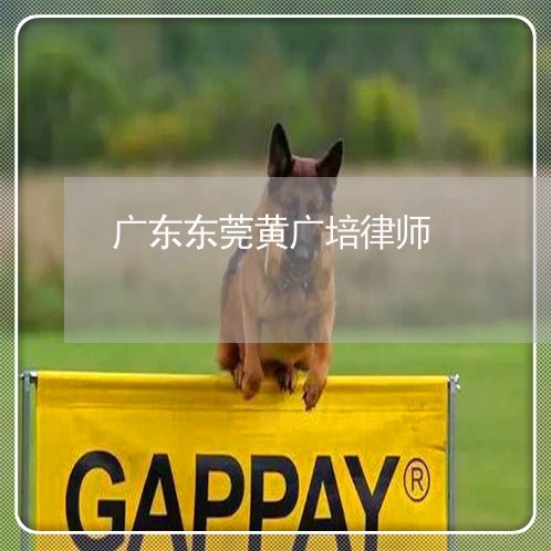 广东东莞黄广培律师 广东东莞黄广培律师