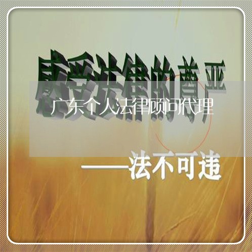 广东个人法律顾问代理/2023061729581 广东个人法律顾问代理/2023061729581