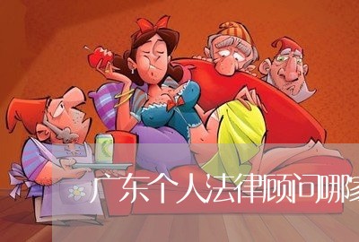 广东个人法律顾问哪家便宜 广东个人法律顾问哪家便宜