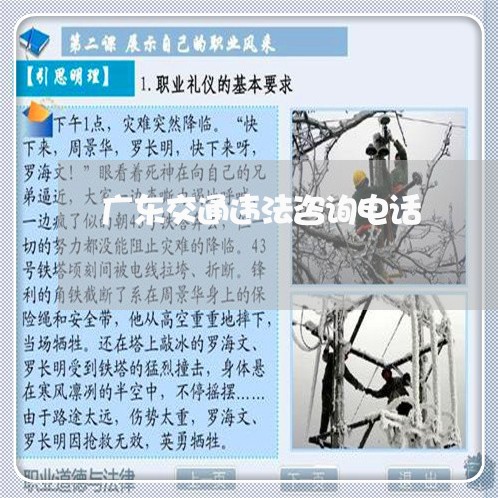 广东交通违法咨询电话 广东交通违法咨询电话