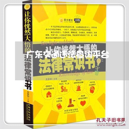 广东交通违法查询平台