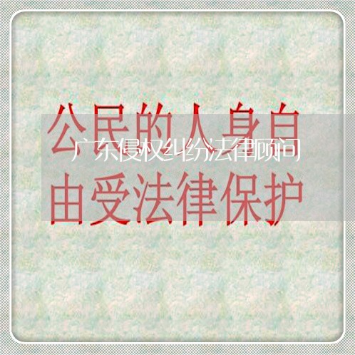 广东侵权纠纷法律顾问/2023061740603 广东侵权纠纷法律顾问/2023061740603