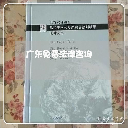 广东免费法律咨询