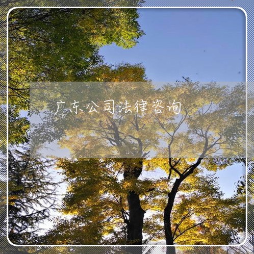 广东公司法律咨询 广东公司法律咨询