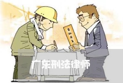 广东刑法律师