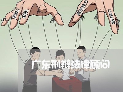 广东刑辩法律顾问/2023061705939 广东刑辩法律顾问/2023061705939