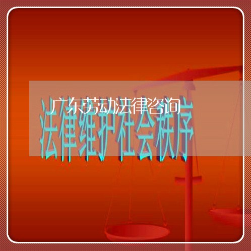 广东劳动法律咨询 广东劳动法律咨询