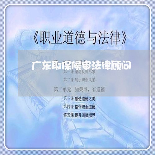广东取保候审法律顾问/2023061750816