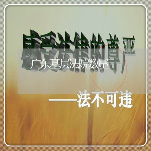 广东基层法院数量 广东基层法院数量