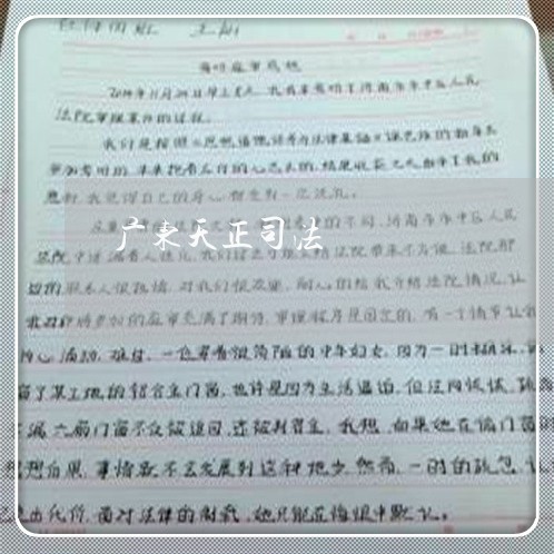 广东天正司法 广东天正司法