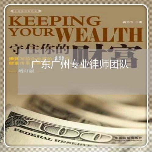 广东广州专业律师团队 广东广州专业律师团队