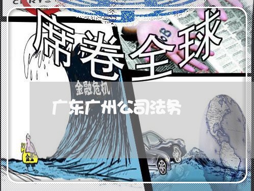 广东广州公司法务 广东广州公司法务
