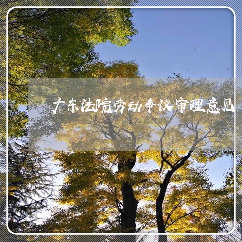 广东法院劳动争议审理意见