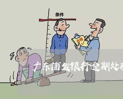 广东浦发银行逾期处理方案/2023062726350