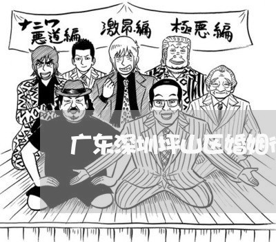 广东深圳坪山区婚姻律师 广东深圳坪山区婚姻律师