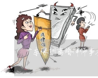 广东深圳离婚律师事务所哪家好