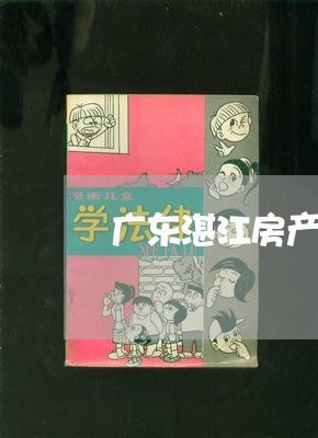 广东湛江房产律师委托咨询