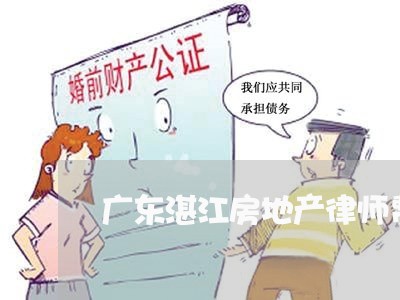 广东湛江房地产律师费用咨询