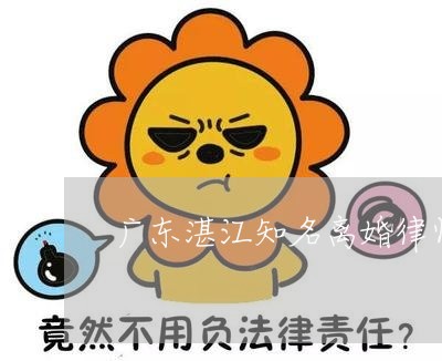 广东湛江知名离婚律师收费多少