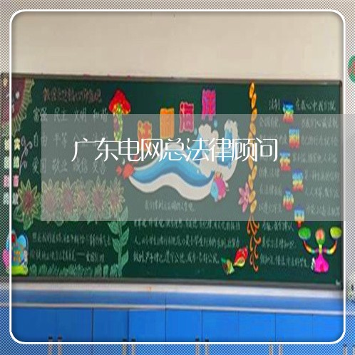 广东电网总法律顾问 广东电网总法律顾问