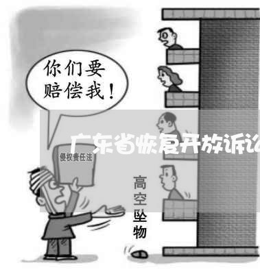广东省恢复开放诉讼服务