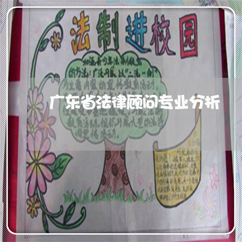 广东省法律顾问专业分析