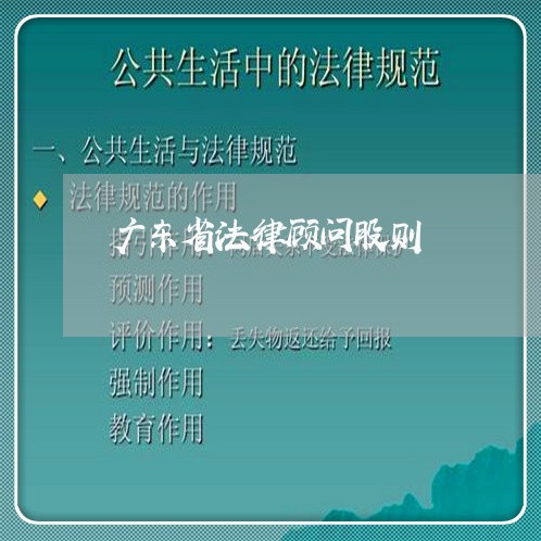 广东省法律顾问股则 广东省法律顾问股则