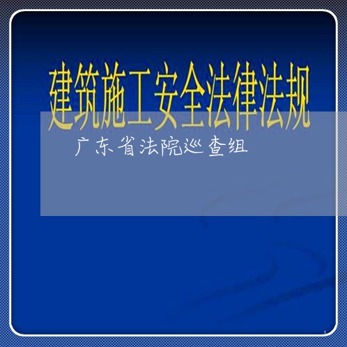 广东省法院巡查组