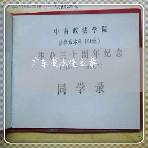 广东省法院立案 广东省法院立案