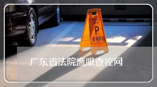 广东省法院鹰眼查控网