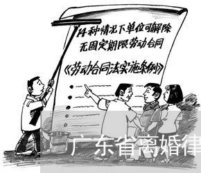 广东省离婚律师事务所哪个好