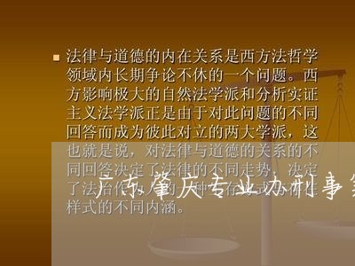 广东肇庆专业办刑事案律师