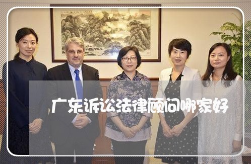 广东诉讼法律顾问哪家好 广东诉讼法律顾问哪家好