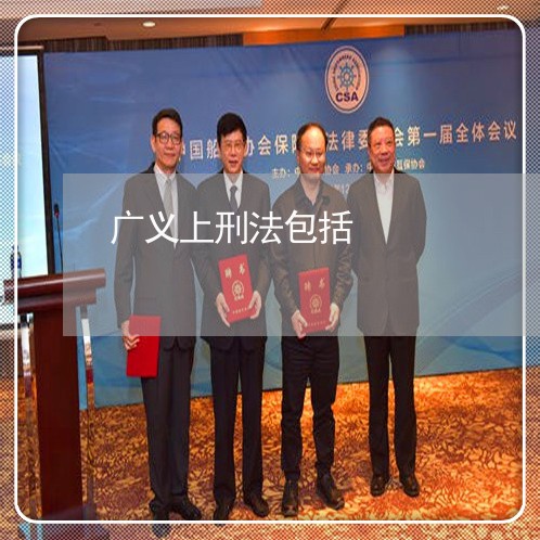 广义上刑法包括