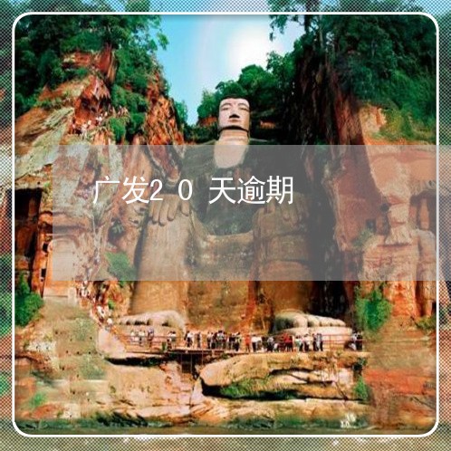 广发20天逾期