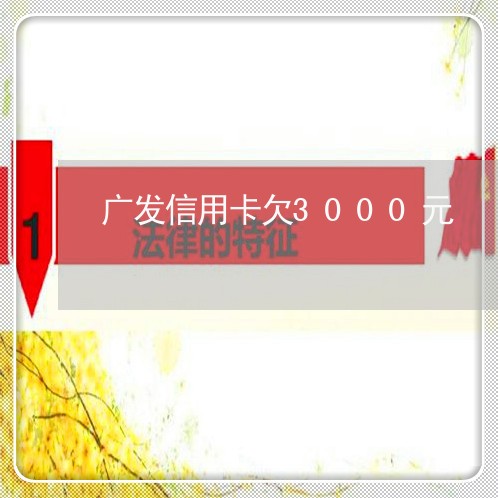 广发信用卡欠3000元