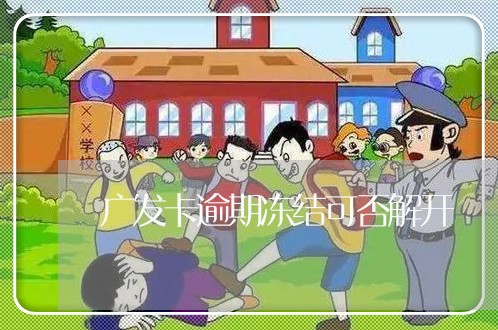 广发卡逾期冻结可否解开/2023062187159