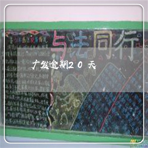 广发逾期20天 广发逾期20天